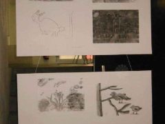 Galerie – Bild 2