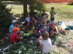 Galerie – Bild 16