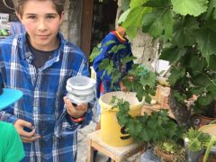 Galerie – Bild 33