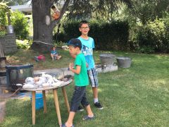 Galerie – Bild 35