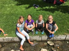 Galerie – Bild 52