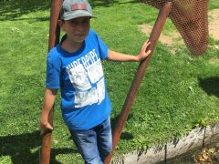 Galerie – Bild 55