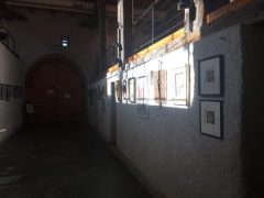 Galerie – Bild 127