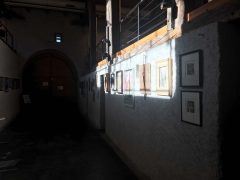 Galerie – Bild 128