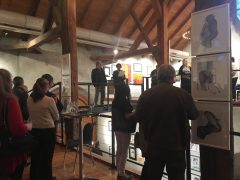 Galerie – Bild 129